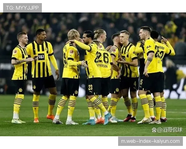 勒沃库森欧冠附加赛潜在对手分析 德甲内战或遭遇多特蒙德